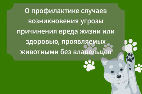 Администрация напоминает о необходимости помнить и соблюдать правила поведения при встрече с животными без владельцев.